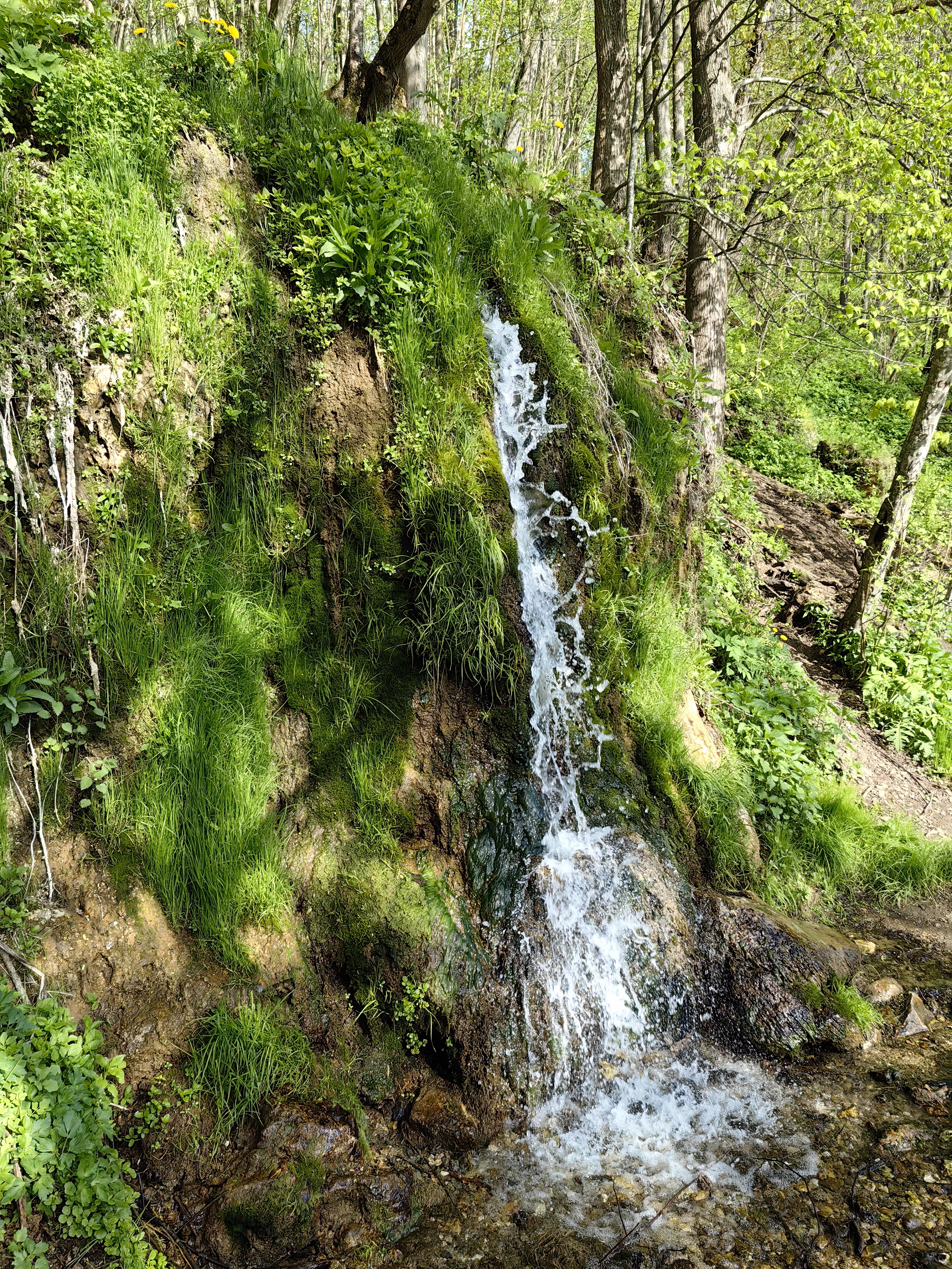 IMG 20240504 163809