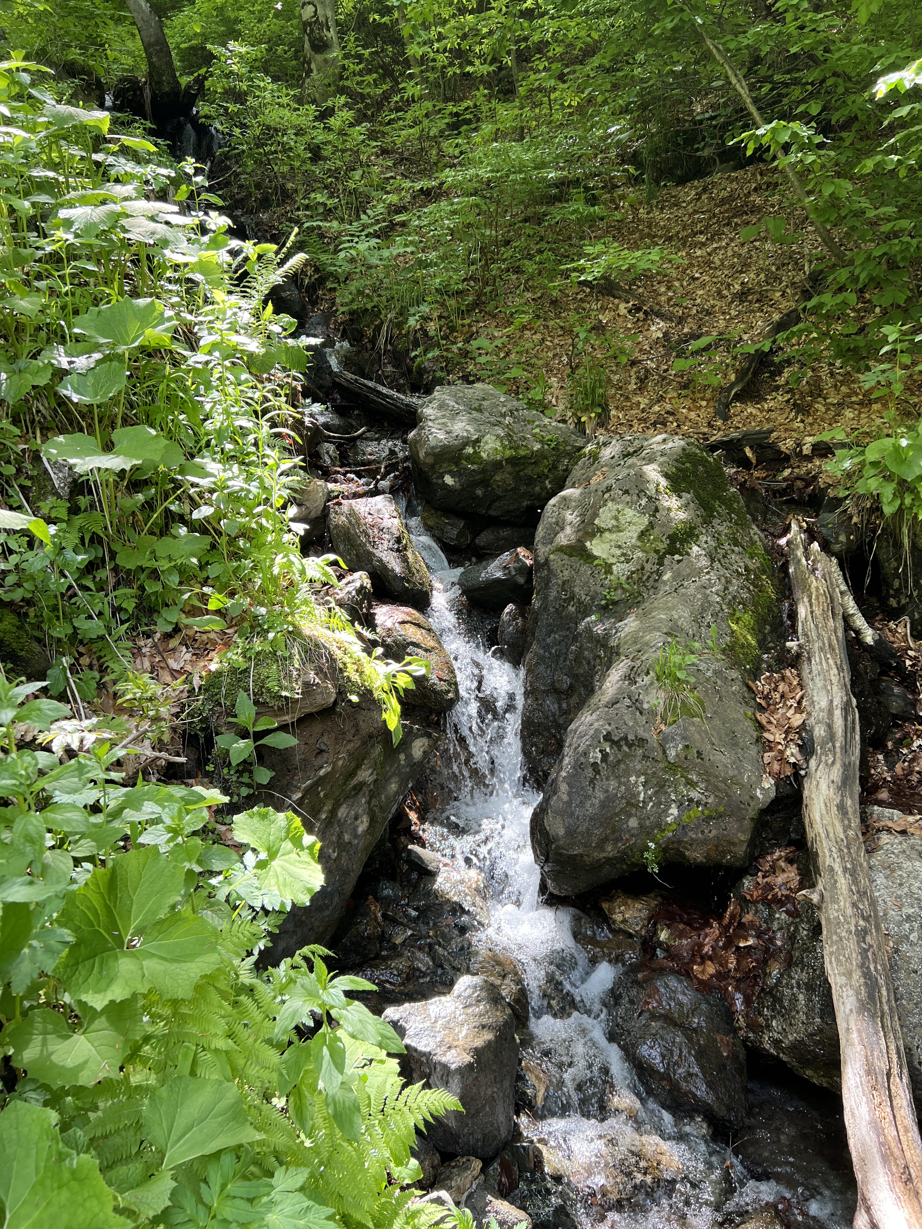 IMG 7051