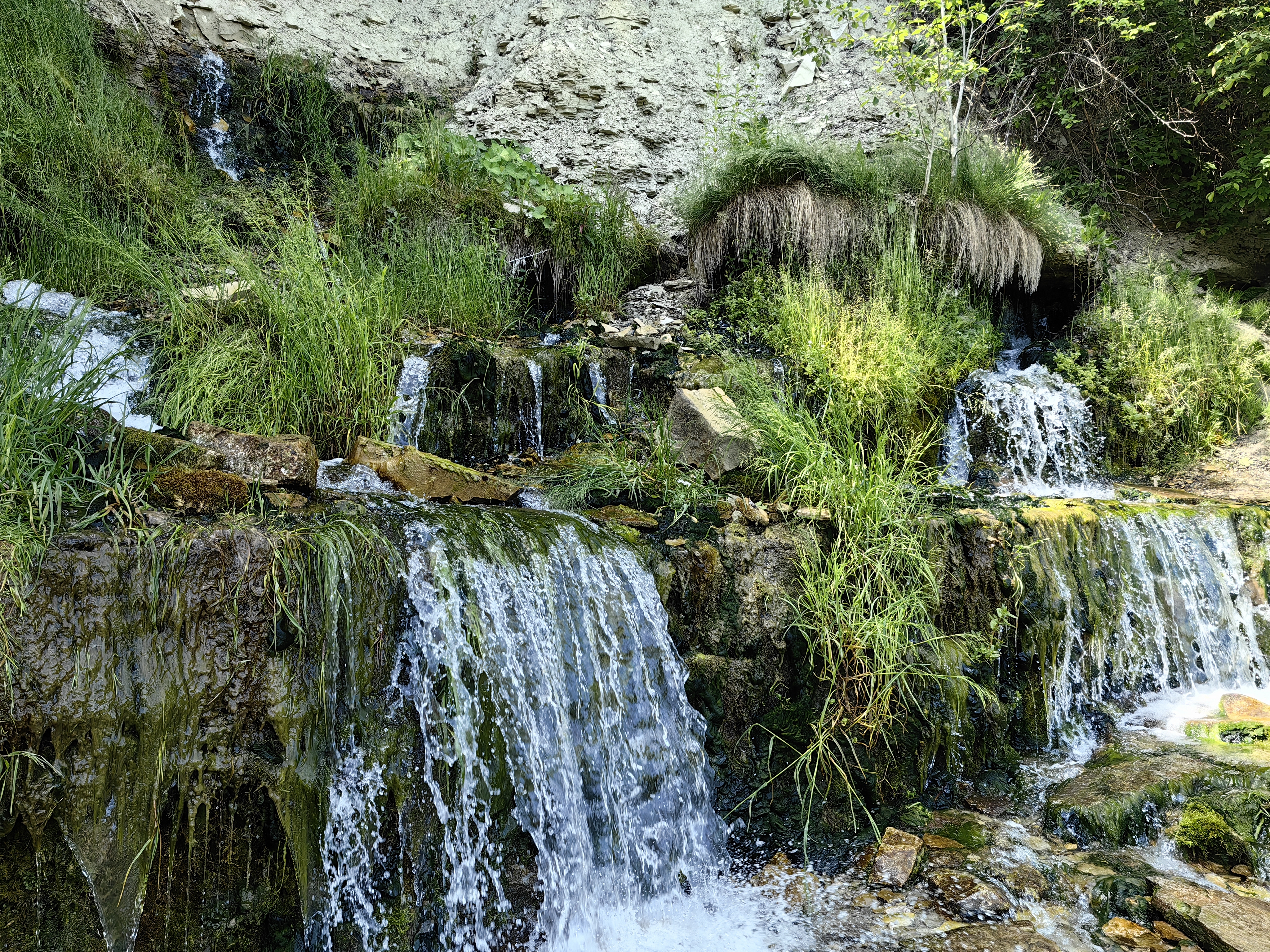 IMG 20240616 122117