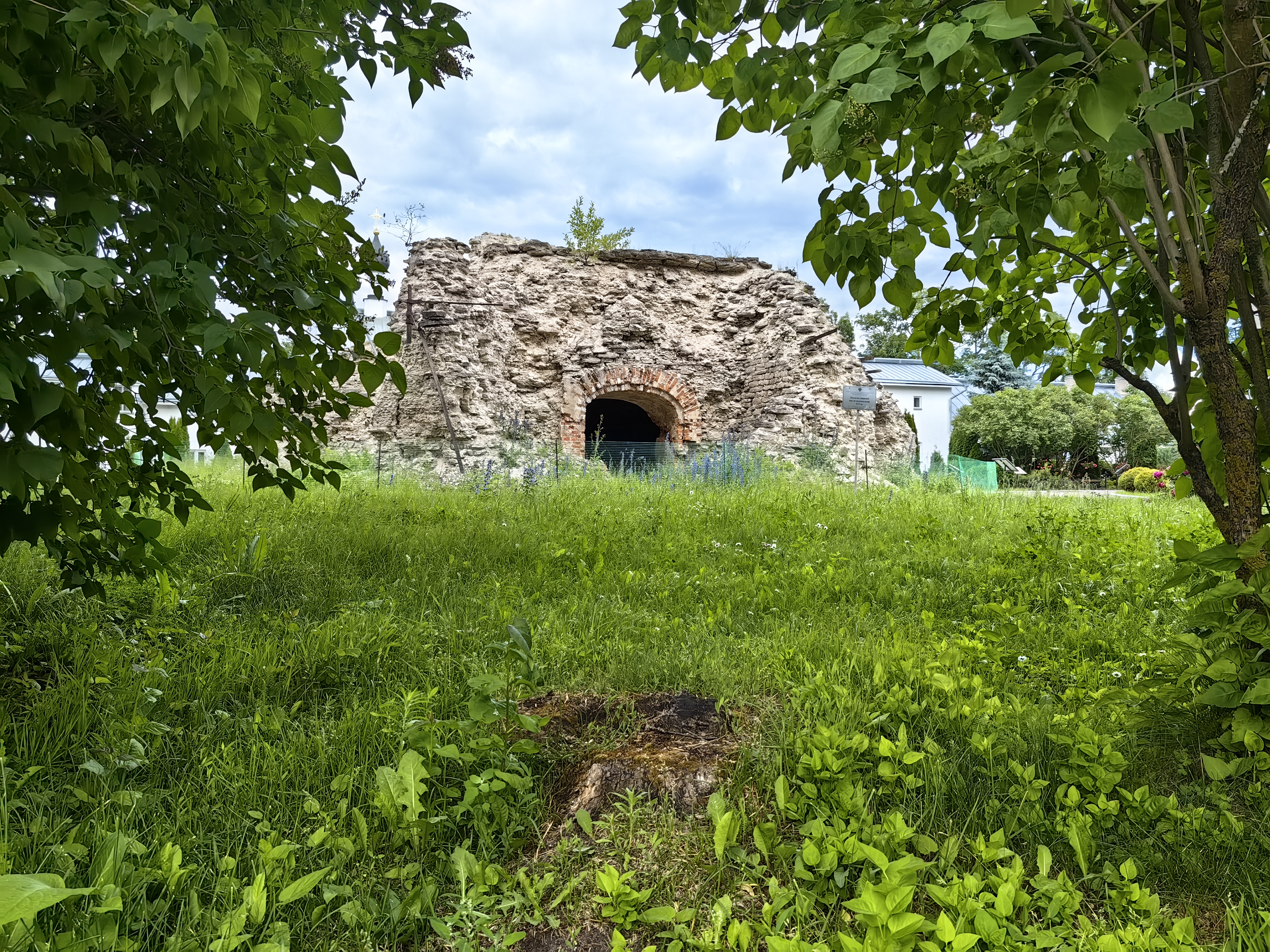 IMG 20240615 171744