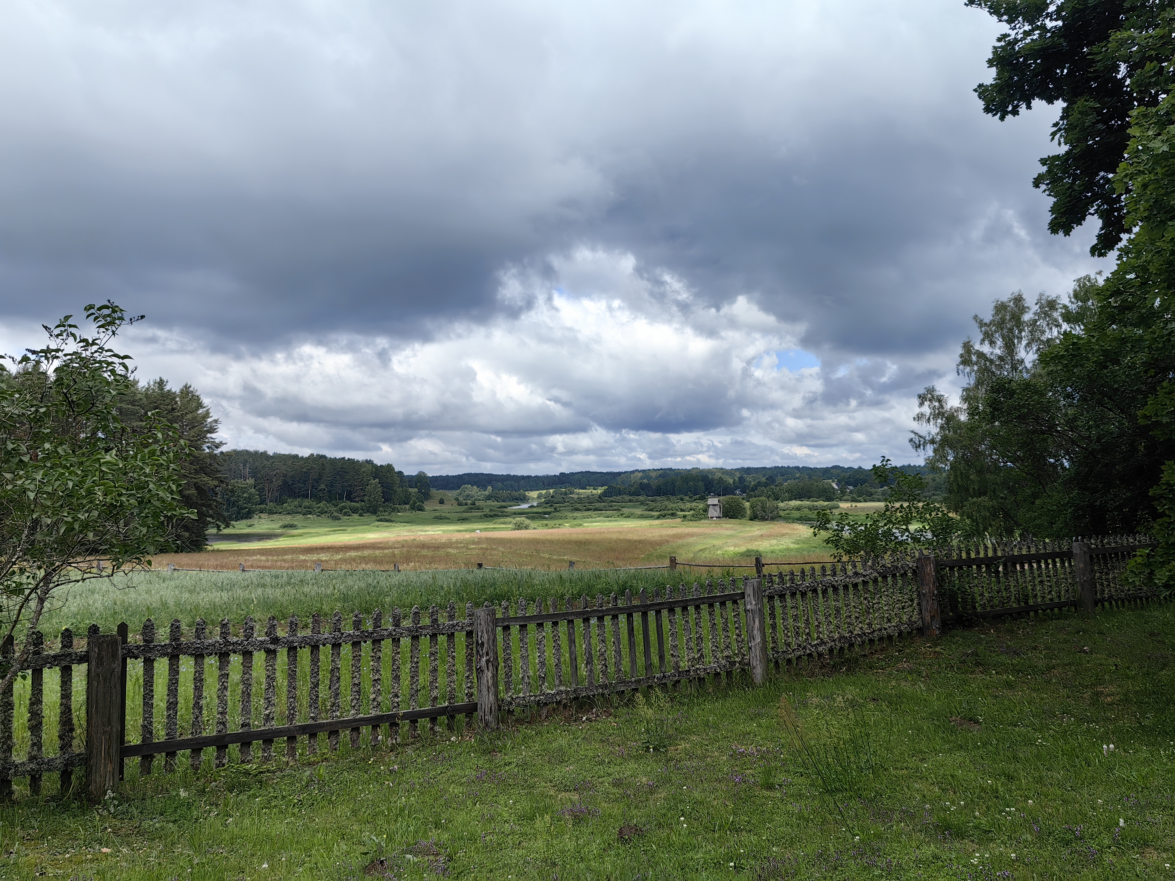 IMG 20240618 104612