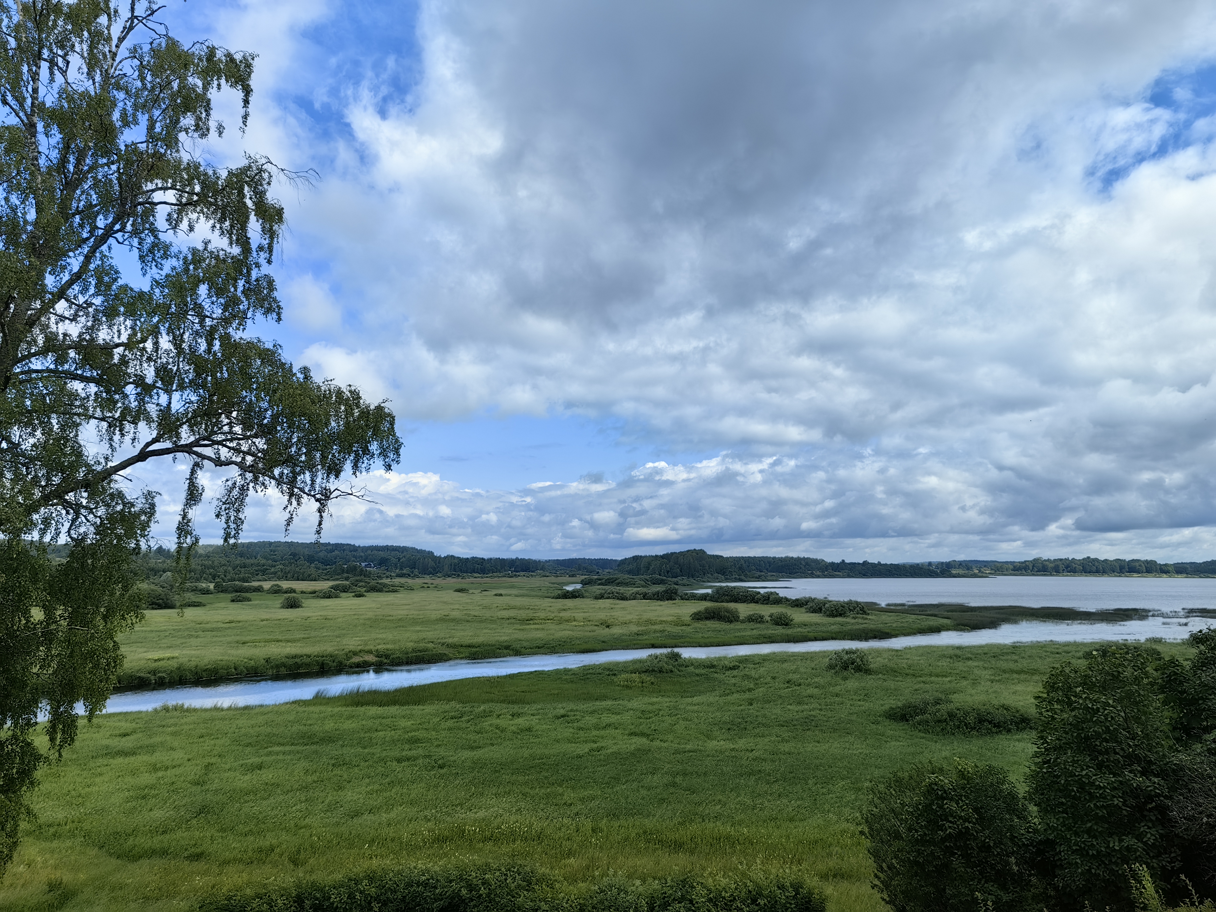 IMG 20240618 110445
