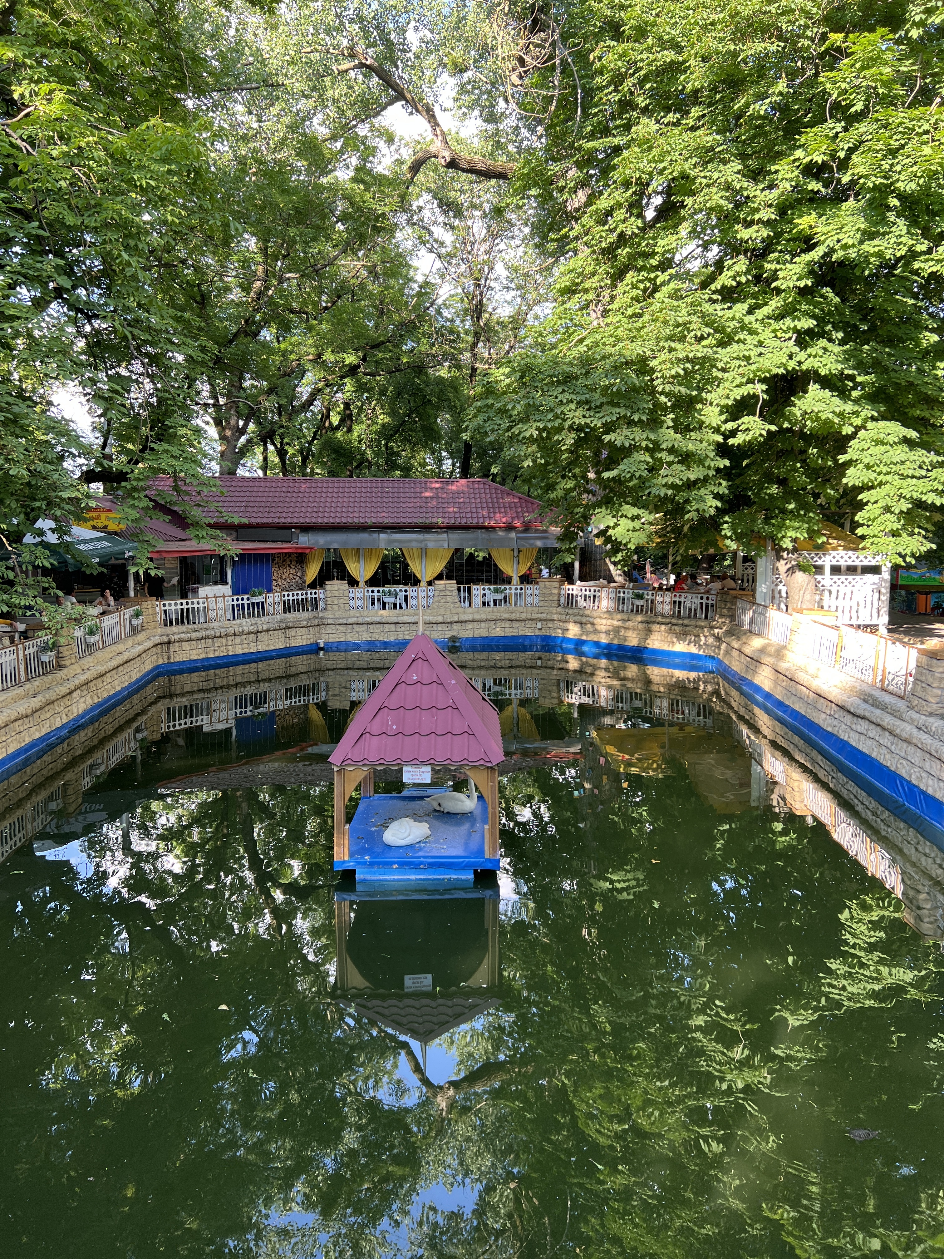 IMG 7285