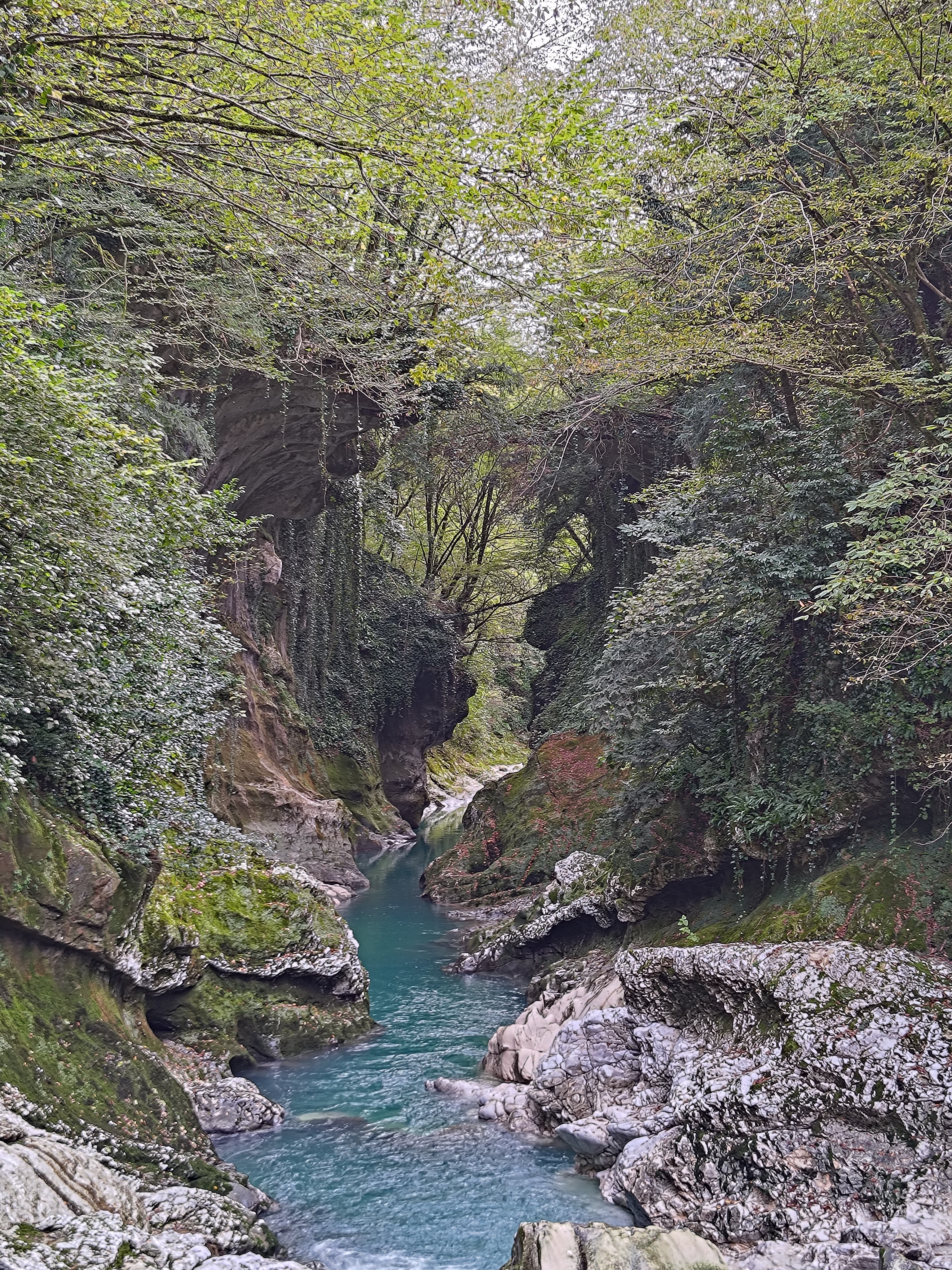 P 20231011 145224