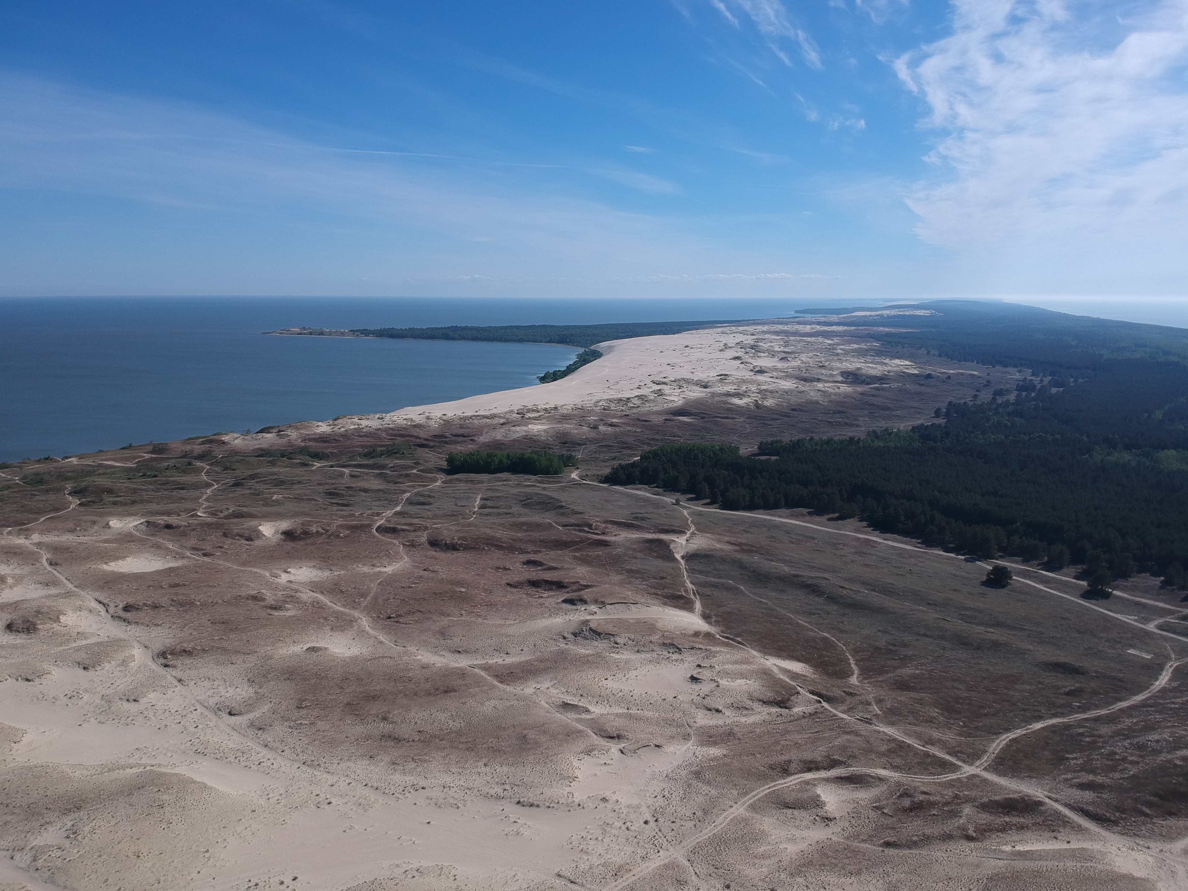 Куршская коса, серые дюны