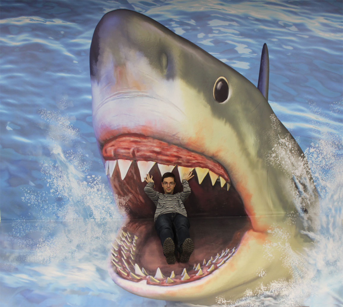 Pic13big